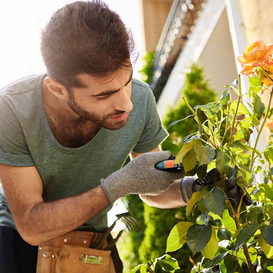 Hirsch Law Group - Removal Defense Lawyers in Maywood, IL - Cancellation of Removal